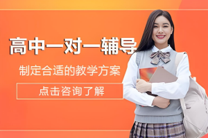 深圳高中数学一对